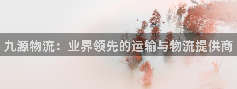 28圈怎么下载：九源物流：业界领先的