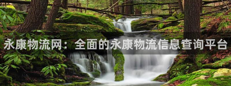 28圈游戏：永康物流网：全面的永康物