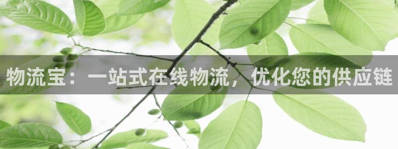 28圈退款教程：物流宝：一站式在线物