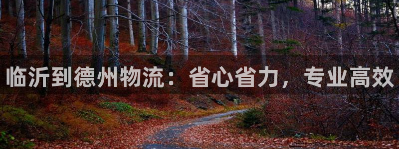 28圈加拿大预测：临沂到德州物流：省