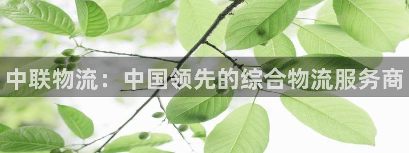 28圈模拟器：中联物流：中国领先的综