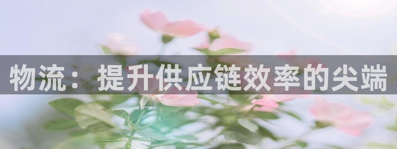 28圈aPP退款：物流：提升供应链效